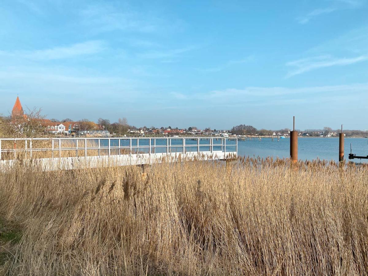 Ostseestern